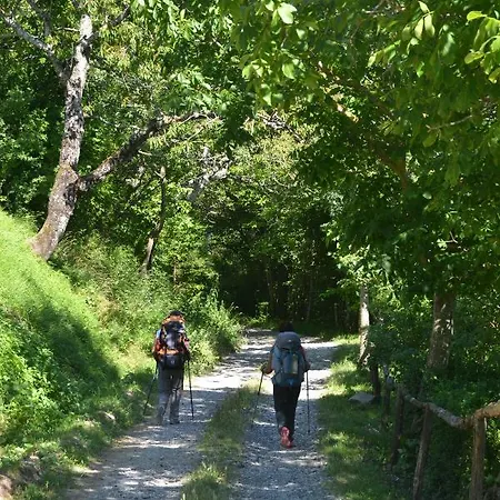 Bed and breakfast Il Palazzo Sansepolcro