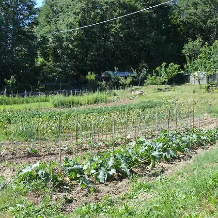 Bed and breakfast Il Palazzo 4*