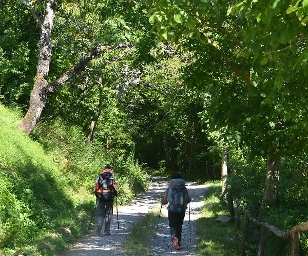 Panzió Il Palazzo Sansepolcro