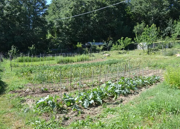 Panzió Il Palazzo 4*